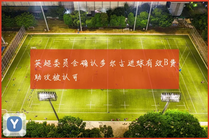 英超委员会确认多尔古进球有效B费助攻被认可