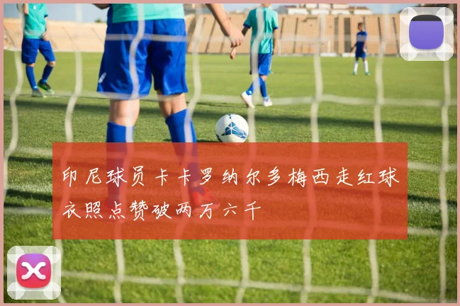 印尼球员卡卡罗纳尔多梅西走红球衣照点赞破两万六千