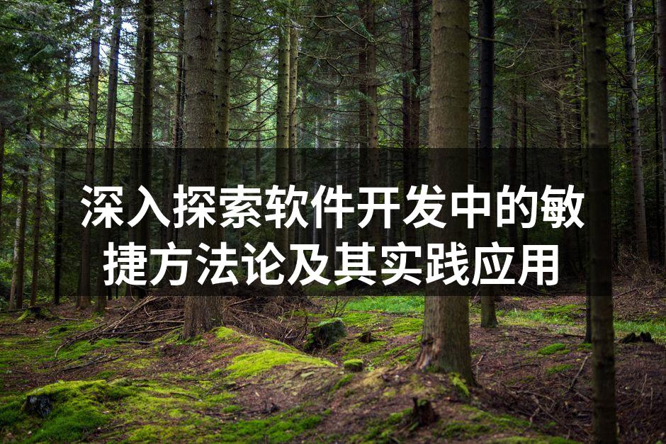 敏捷开发团队协作